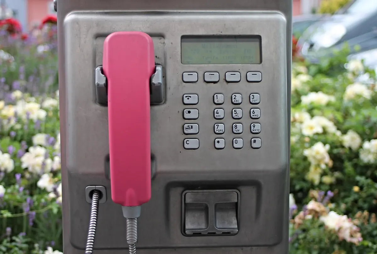 Public pay telephone with a pink handset among flowers